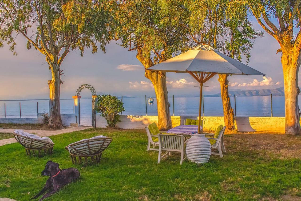 קאבוס Lemami Seafront Bungalows מראה חיצוני תמונה